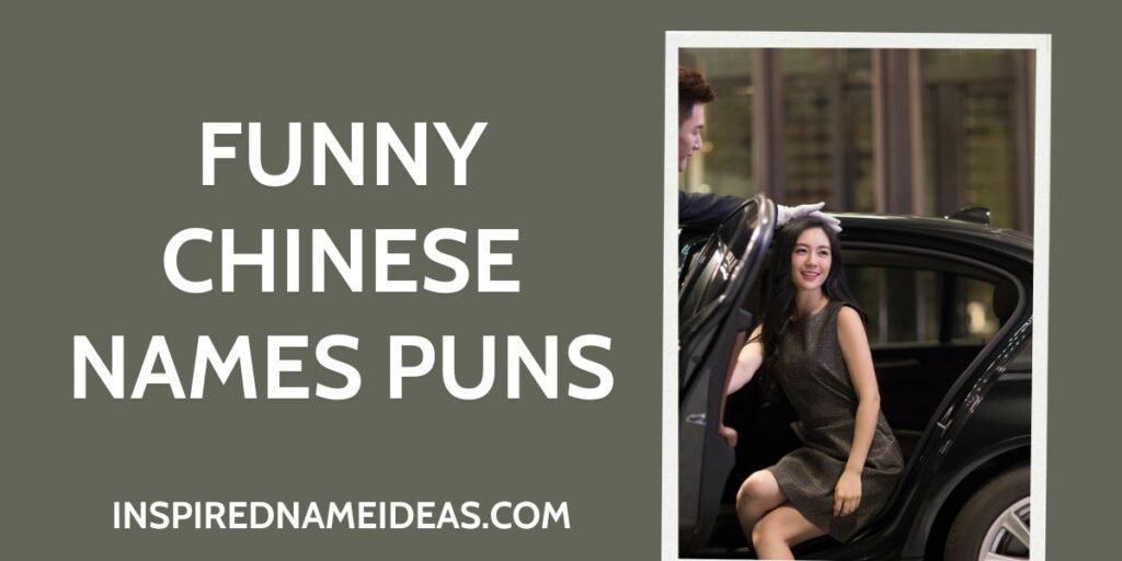Funny Chinese Names Puns