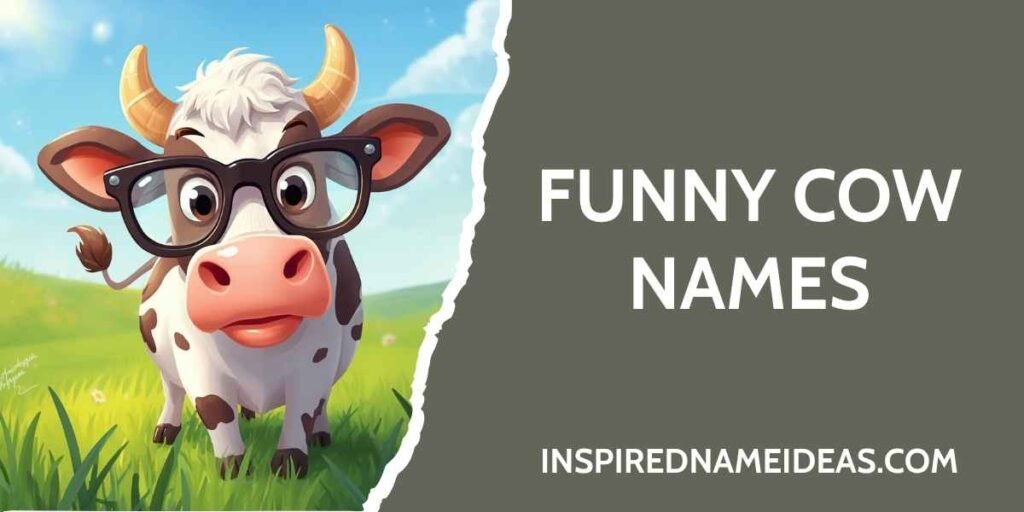 Funny Cow Names