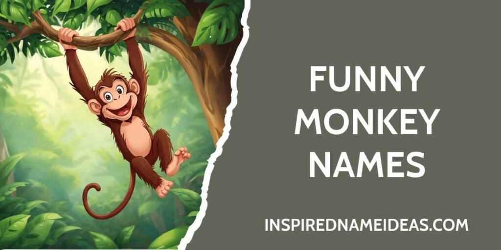 Funny Monkey Names