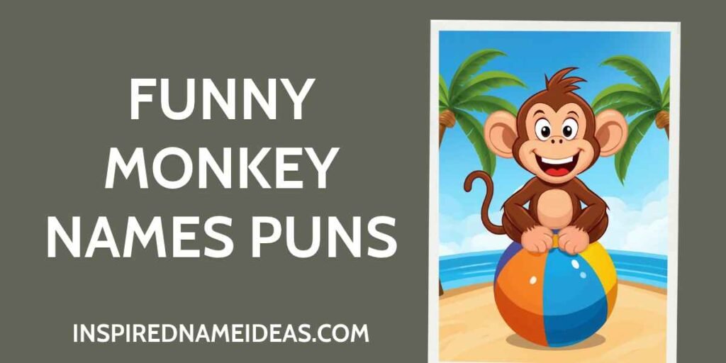 Funny Monkey Names Puns