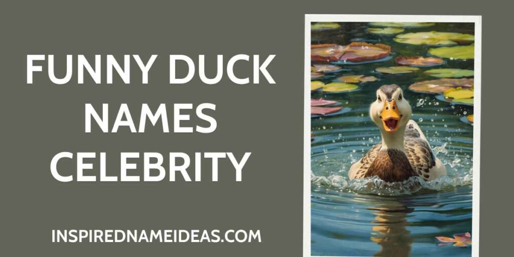 Funny Duck Names Celebrity
