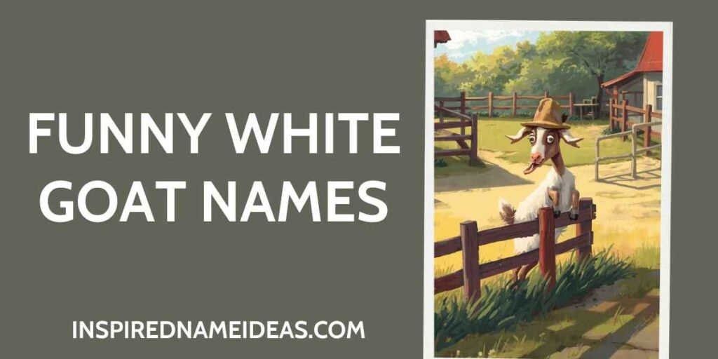 Funny White Goat Names