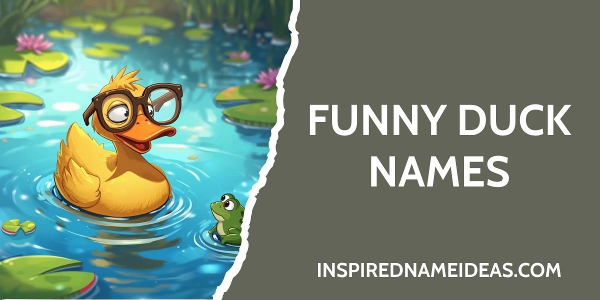 Funny Duck Names