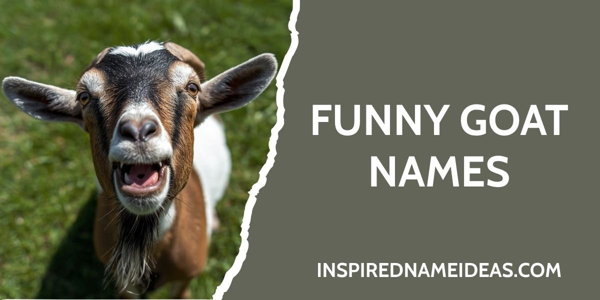 Funny Goat Names
